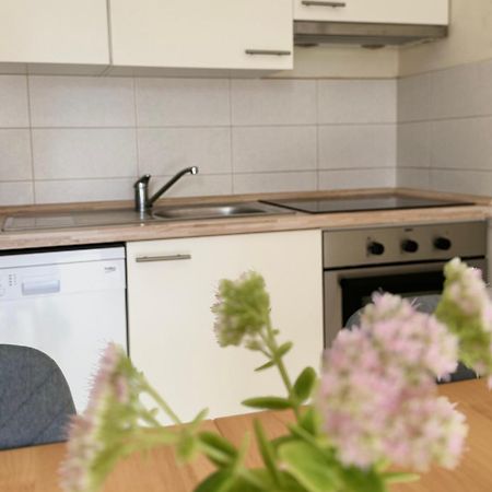 Apartment Roky 波弗加纳 外观 照片