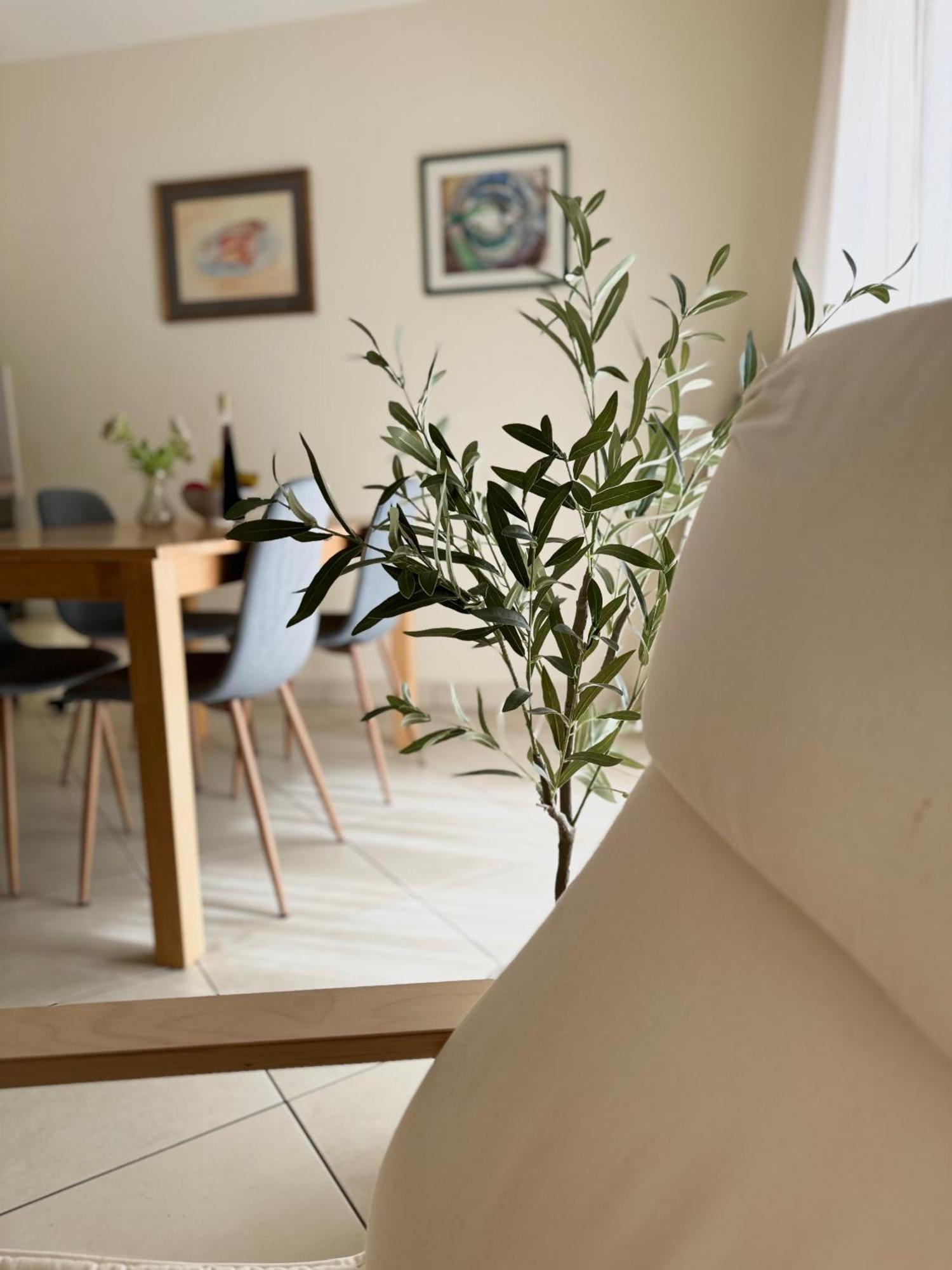 Apartment Roky 波弗加纳 外观 照片